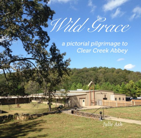 View Wild Grace by Julie Ash