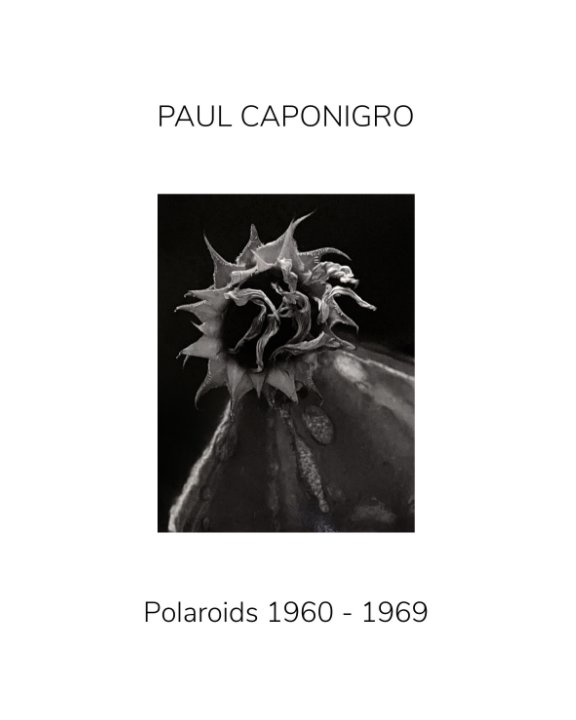 View PAUL CAPONIGRO : Polaroids 1960 - 1969 by Paul Caponigro Obscura Gallery