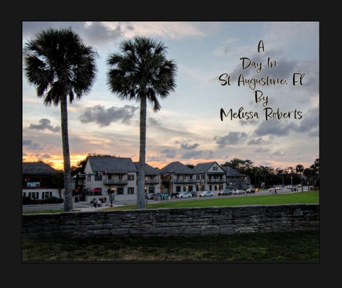 View A Day in St. Augustine, Fl by Melissa Roberts