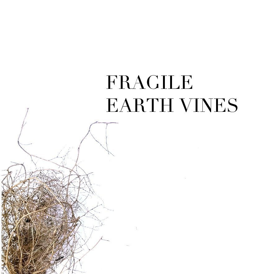 View Fragile Earth Vines by Helen Stubbings