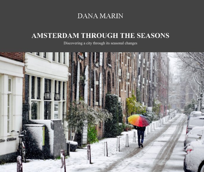 View Amsterdam Through the Seasons by Dana Marin