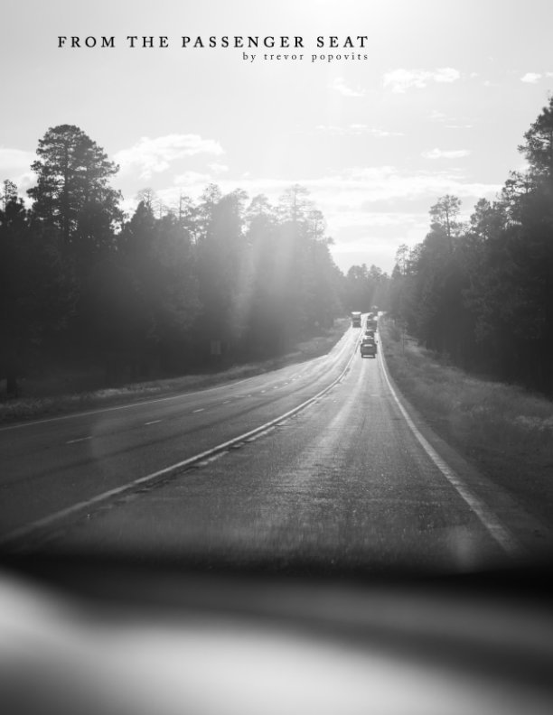 View From The Passenger Seat: Santa Rosa to Mesa by Trevor Popovits