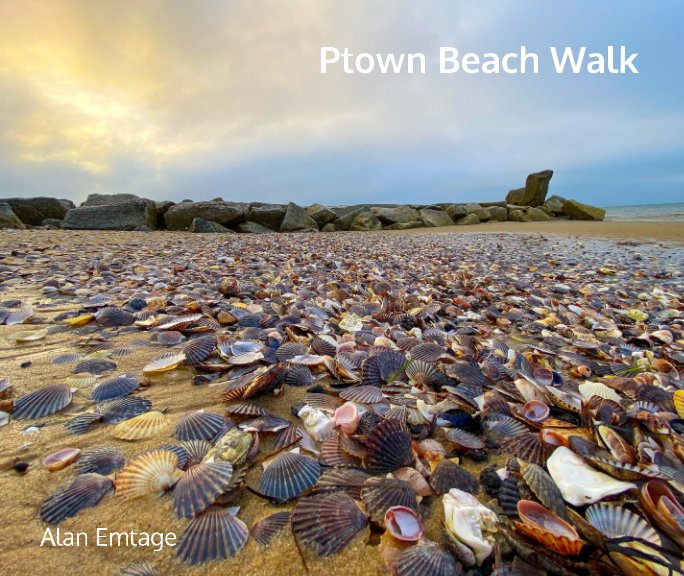 View Ptown Beach Walk by Alan Emtage