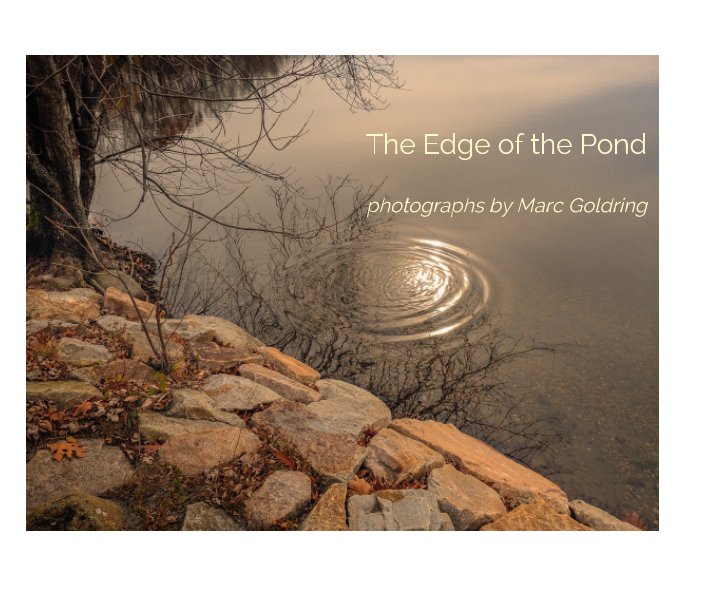View The Edge of the Pond by Marc Goldring