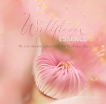 Wildflower Essence 7x7 book cover