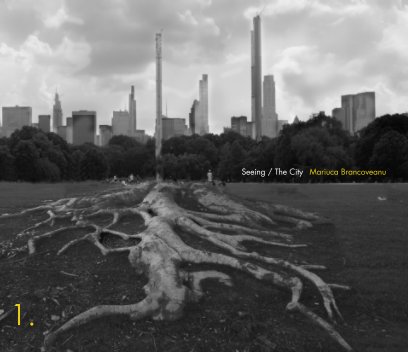 Seeing / The City / Mariuca Brancoveanu Photograpy / V.1 book cover