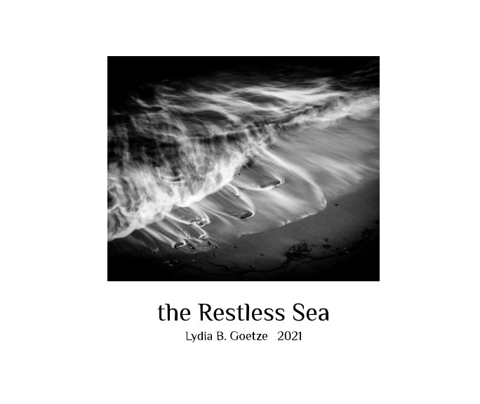 View The Restless Sea by Lydia B Goetze