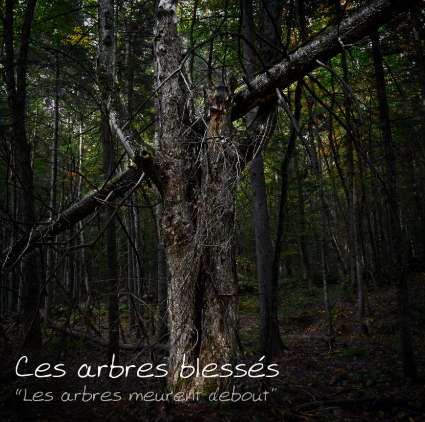 Visualizza Ces arbres blessés di François Guay