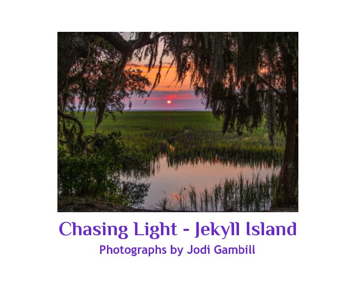 View Chasing Light - Jeykll Island by Jodi Gambill