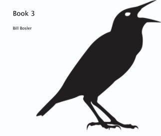 Book 3 book cover