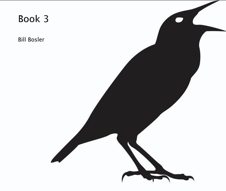 View Book 3 by Bill Bosler
