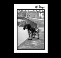 43 Dogs book cover