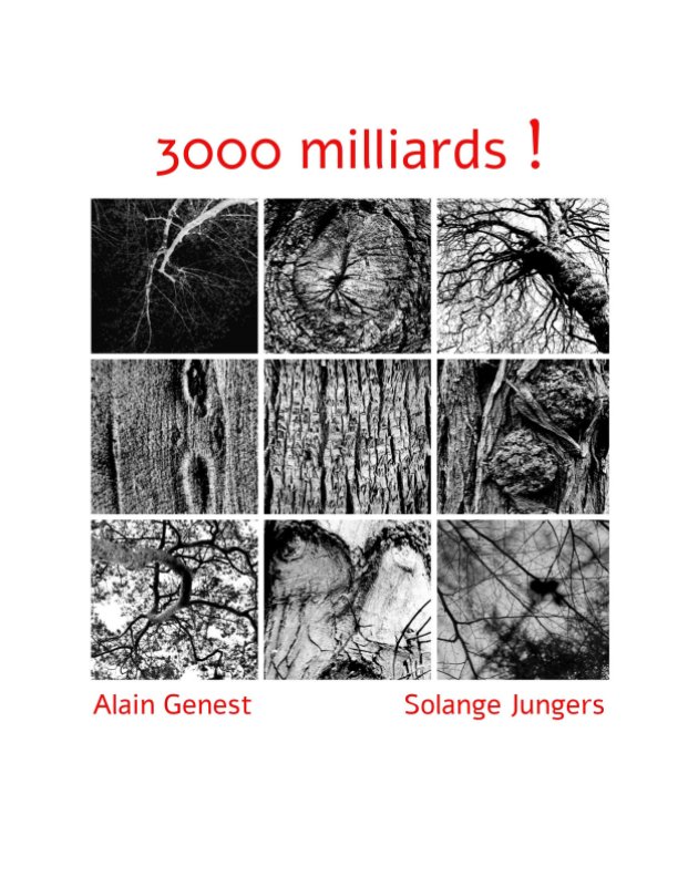 View 3000 milliards ! by Alain Genest, Solange Jungers