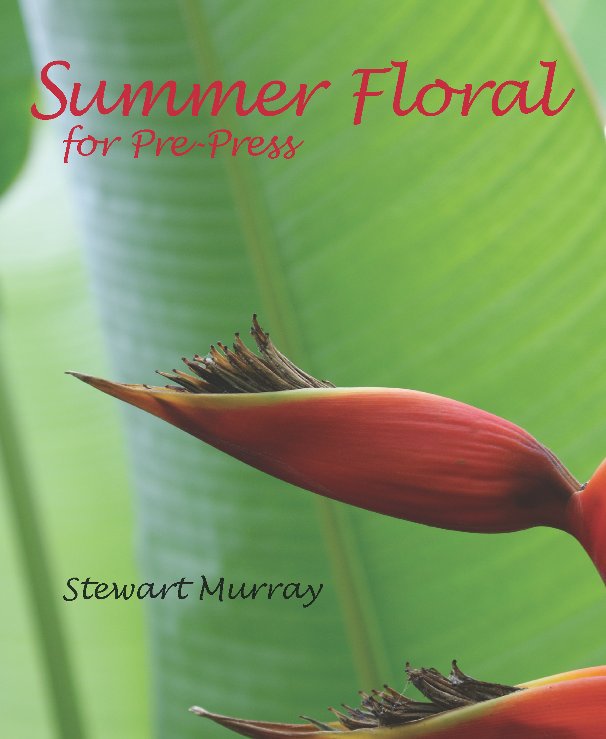 View Summer Floral by Stewart Murray