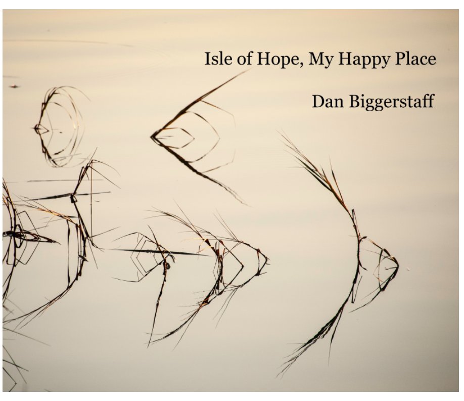 View Isle of Hope, My  Happy Place by Dan Biggerstaff