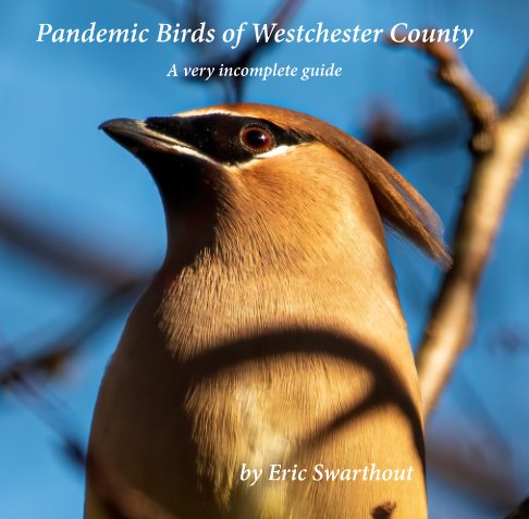 View Pandemic Birds of Westchester County by Eric Swarthout