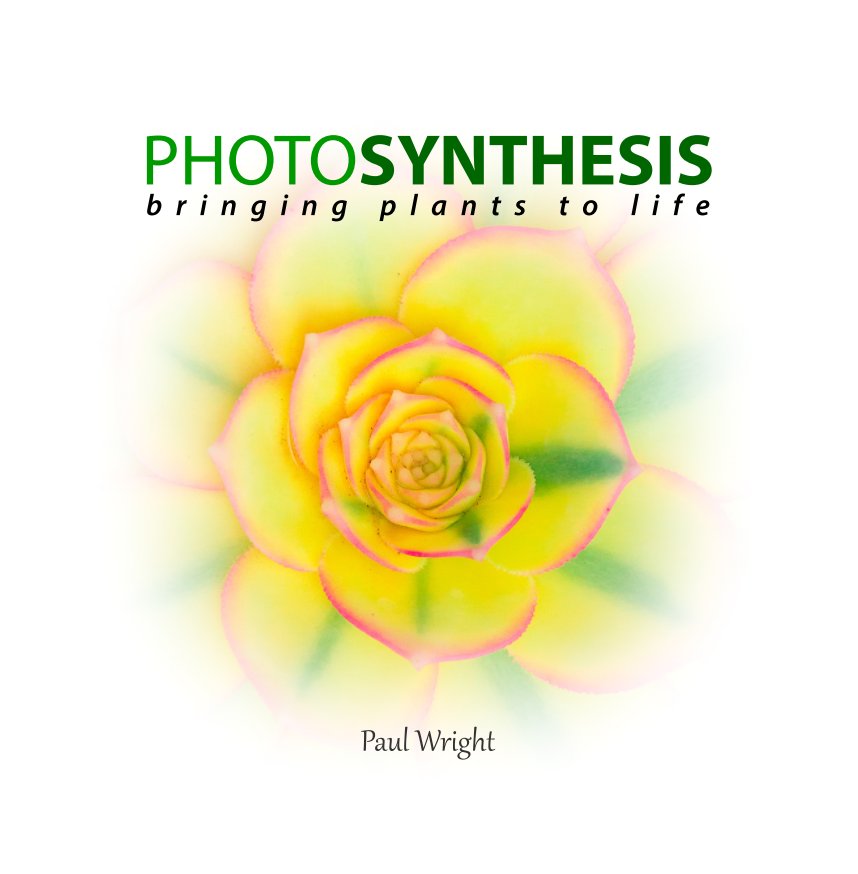 View Photosynthesis by Paul Wright