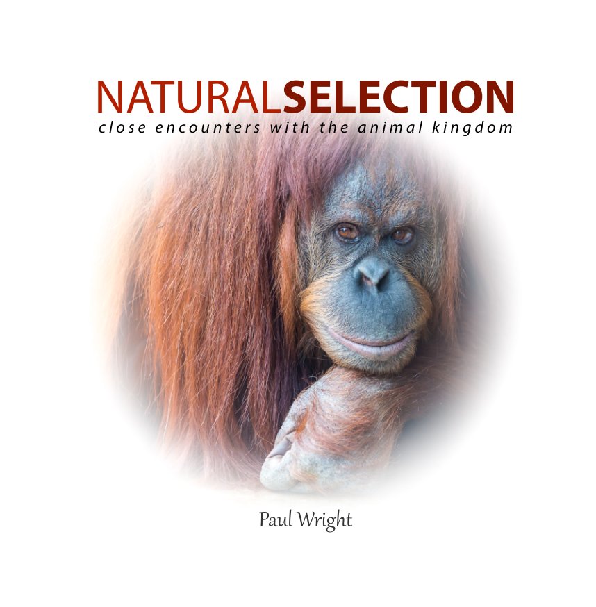 View Natural Selection by Paul Wright