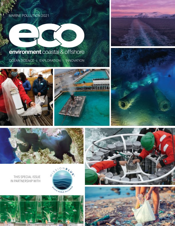 Visualizza ECO Magazine 2021 Marine Pollution Special Issue di Technology Systems Corporation
