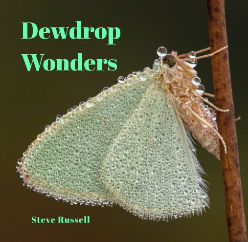 View Dewdrop Wonders by Steve Russell