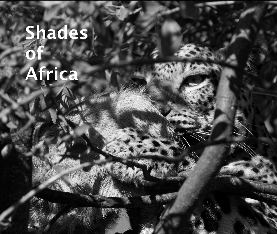 Bekijk shades of africa op Jill and John Innes