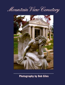 Mountain View Cemetery book cover