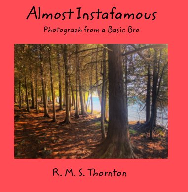 Almost Instafamous book cover