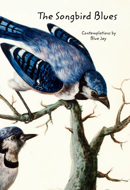 View The Songbird Blues by Jonna Robertsen