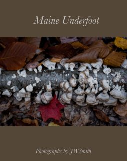 Maine Underfoot book cover