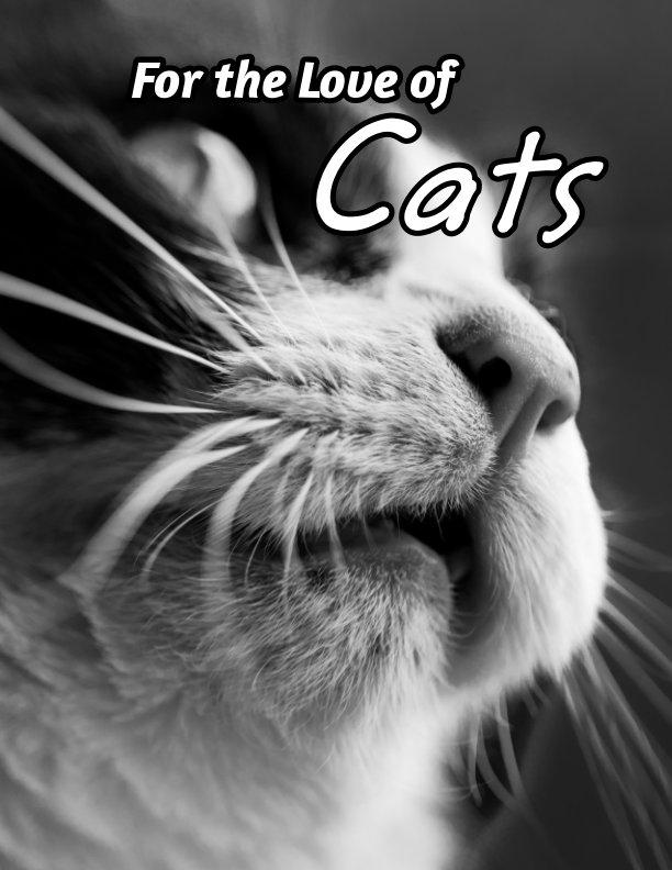 Ver For the Love of Cats por Joe Krupa