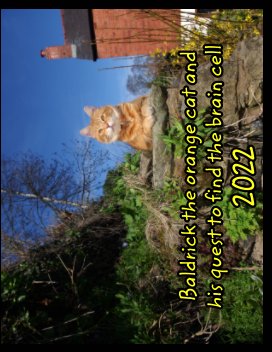 Baldrick the orange cat book cover
