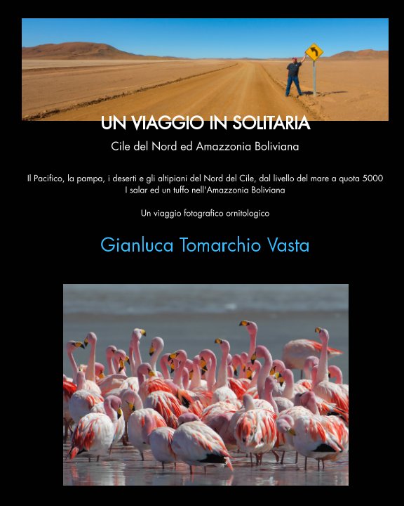 Ver Un viaggio in solitaria (tascabile) por Gianluca Tomarchio Vasta