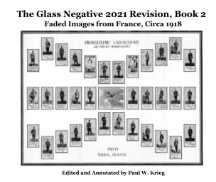 The Glass Negative 2021 Update, Book 2 book cover