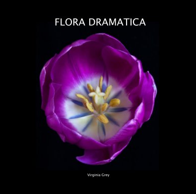 FLORA DRAMATICA book cover