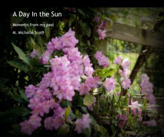 A Day In the Sun book cover