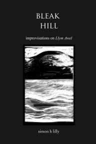 Bleak Hill book cover