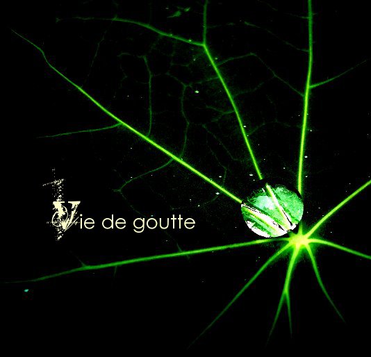 View Vie de goutte by Cecile Duchamp
