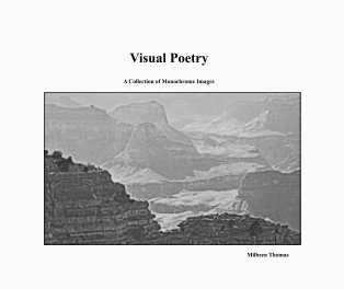 Visual Poetry book cover