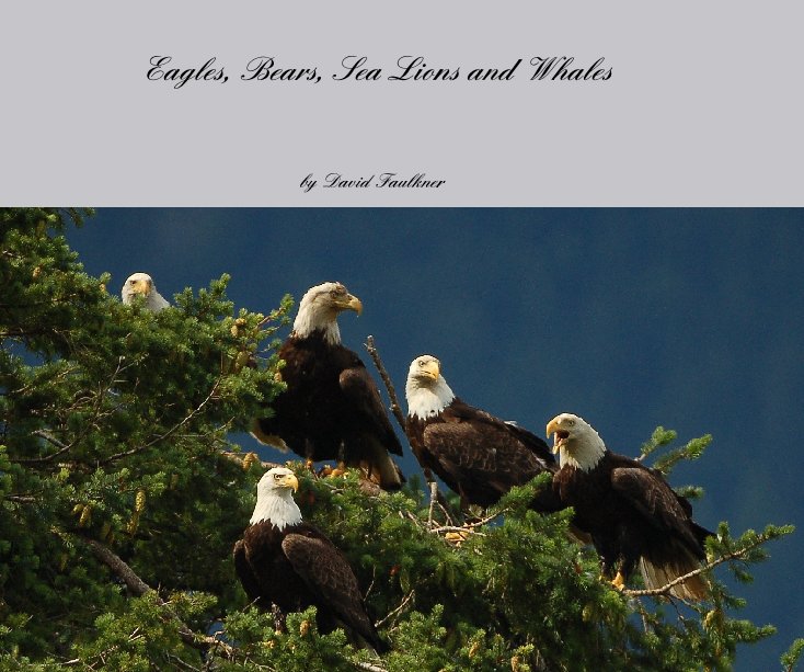 Ver Eagles, Bears, Sea Lions and Whales por David Faulkner