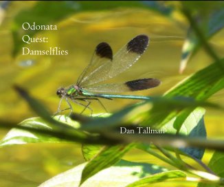 Odonata Quest: Damselflies book cover