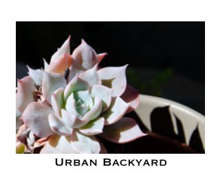 Urban Backyard book cover