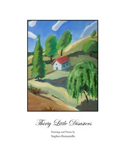 Thirty Little Disasters book cover