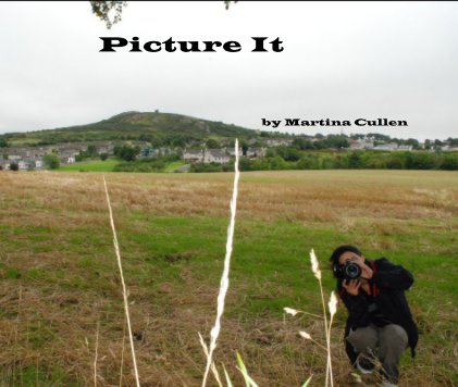 Picture It book cover
