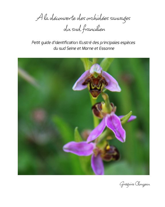 View A la découverte des Orchidées Sauvages du sud francilien by Grégoire CLOUZEAU