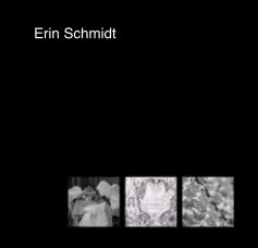 Erin Schmidt book cover