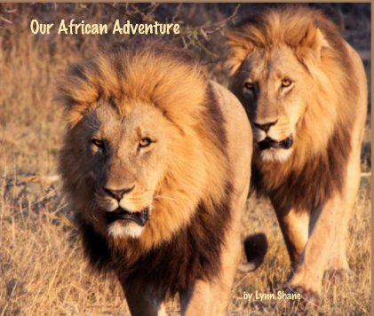 Our African Adventure book cover