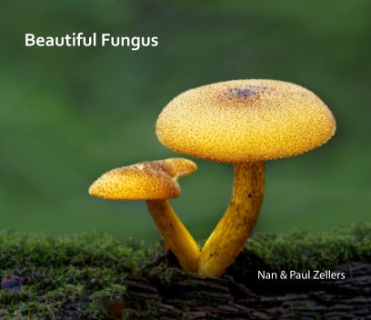 Beautiful Fungus book cover