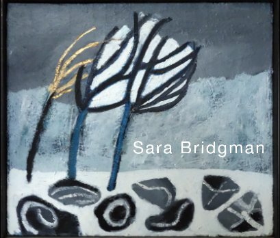 Sara Bridgman book cover