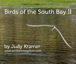 Birds of the South Bay II book cover