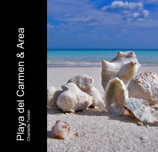 Visualizza Playa del Carmen & Area di Chantelle Tucker